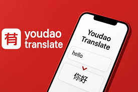 为什么有道翻译词典的“生词本”支持案号备注？